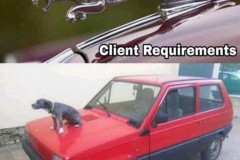 client_requirements_vs_budget